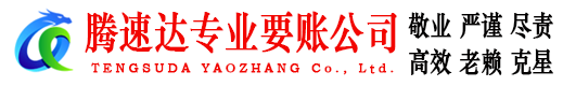 新泰收债公司